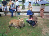 �C���^�r���[����Akubu�����